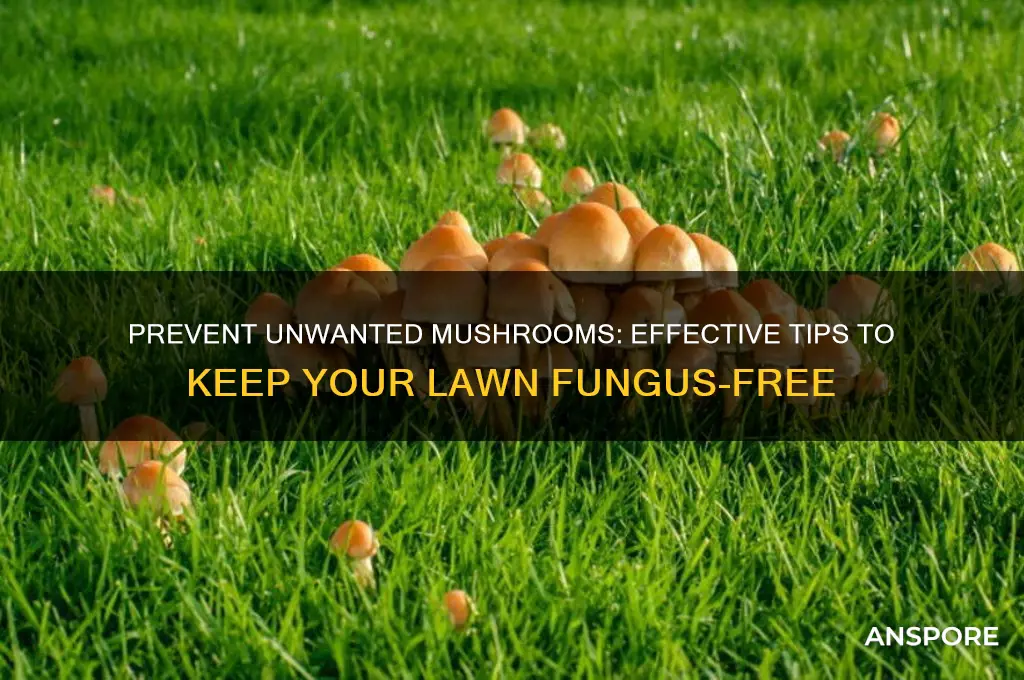 how can i stop mushrooms growing in my lawn