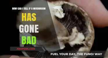 Identifying Spoiled Mushrooms: Signs Your Fungi Has Gone Bad