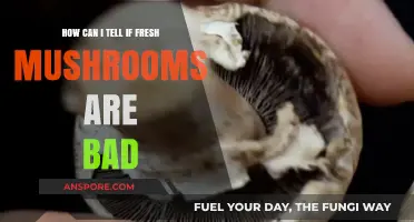 Spotting Spoiled Mushrooms: Signs Your Fresh Fungi Have Gone Bad