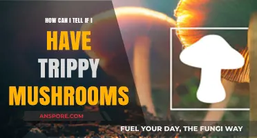 Identifying Trippy Mushrooms: A Guide to Spotting Psychedelic Varieties
