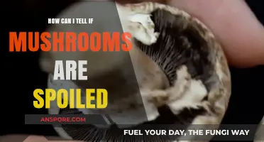 Identifying Spoiled Mushrooms: Signs, Smells, and Safety Tips