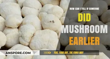 Signs Someone Did Mushrooms: Key Indicators to Spot Recent Use