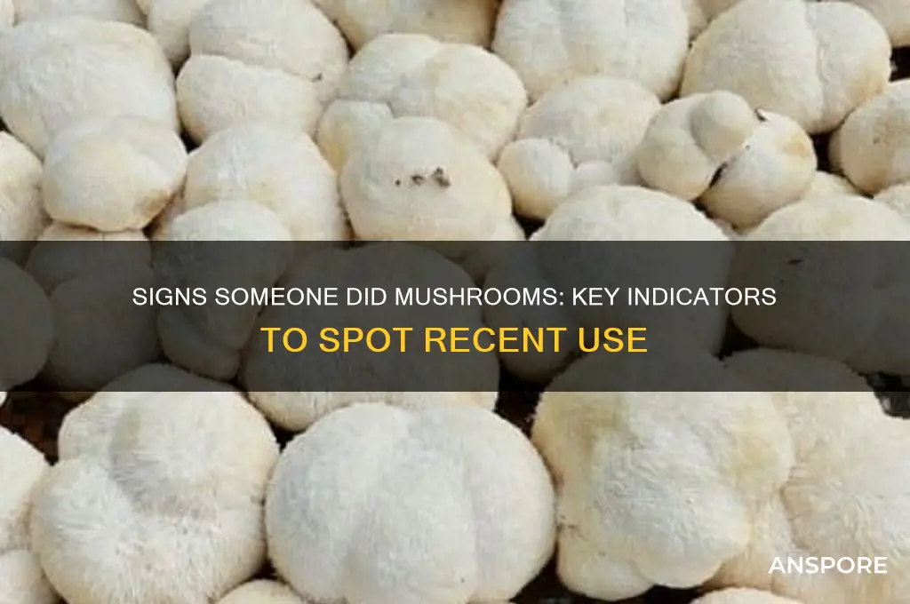 how can i tell if someone did mushrooms earlier