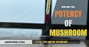 Identifying Mushroom Potency: Key Factors and Reliable Testing Methods