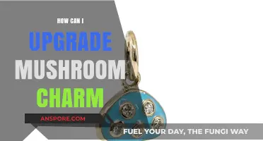Enhance Your Mushroom Charm: Creative Upgrades for a Magical Look