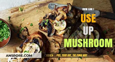 Creative Ways to Use Up Mushrooms in Delicious Recipes