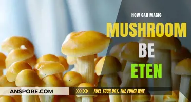 Exploring Safe and Effective Ways to Consume Magic Mushrooms