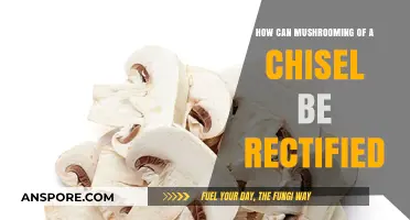 Rectifying Mushroomed Chisels: Effective Techniques to Restore Your Tools