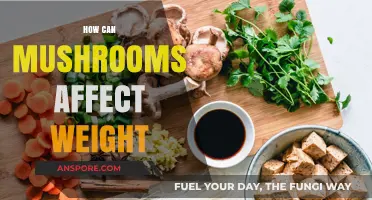 Mushrooms and Weight: Surprising Benefits for Healthy Weight Management