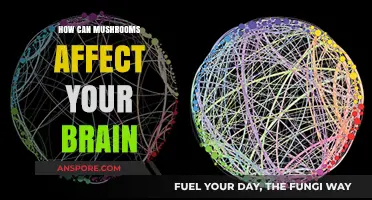 Mushrooms and Mind: Unveiling Their Surprising Brain-Boosting Effects