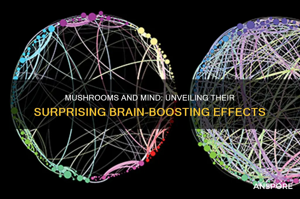 how can mushrooms affect your brain