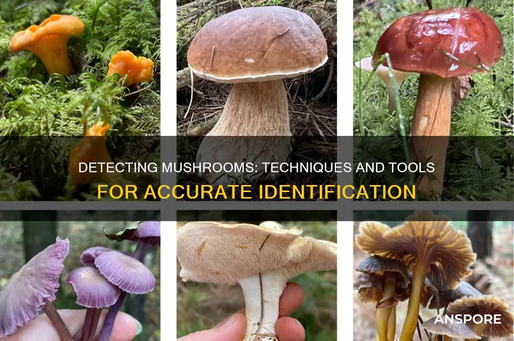 how can mushrooms be detected