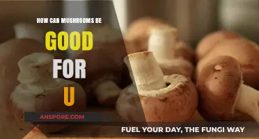 Mushrooms' Surprising Health Benefits: Boosting Immunity, Energy, and Wellness