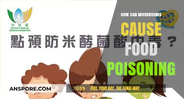 Mushroom Food Poisoning: Risks, Symptoms, and Prevention Tips