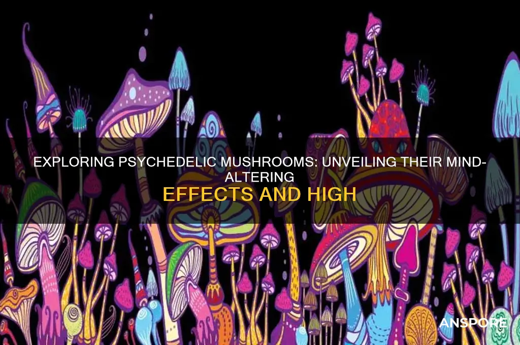 how can mushrooms get you high