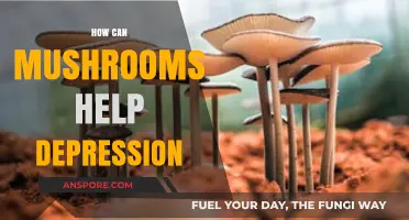 Mushrooms and Mental Health: Natural Remedies for Depression Relief