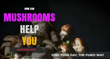 Unlocking Mushroom Magic: Surprising Health Benefits and Uses