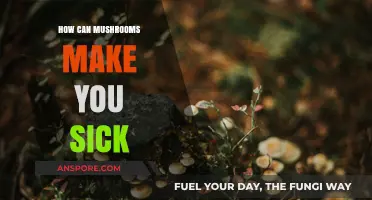 Toxic Mushrooms: Hidden Dangers and Symptoms of Poisoning to Watch For