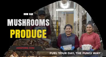 Unlocking Mushroom Potential: How Fungi Produce Nutrients and Compounds