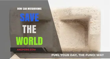 Mushrooms' Power: Unlocking Sustainable Solutions to Save Our Planet