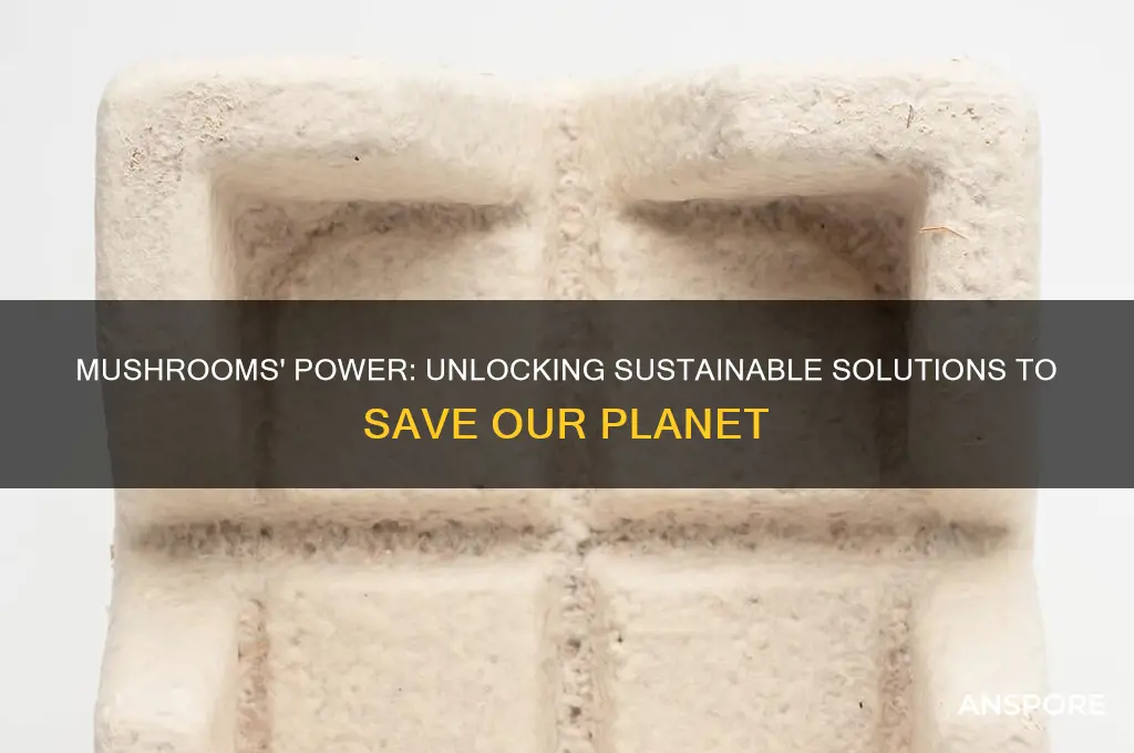 how can mushrooms save the world