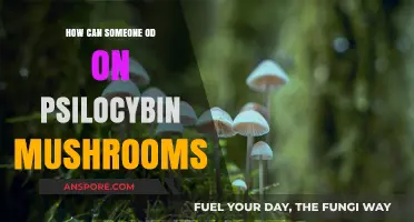 Psilocybin Overdose: Understanding the Risks and Prevention Strategies