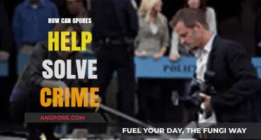 Unseen Clues: How Spores Revolutionize Forensic Crime Scene Investigations