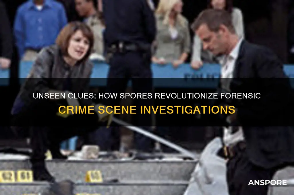 how can spores help solve crime