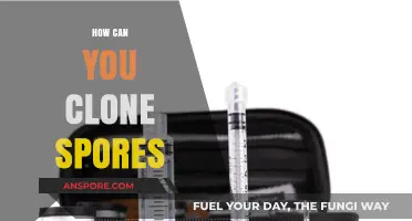 Mastering the Art of Cloning Spores: A Step-by-Step Guide