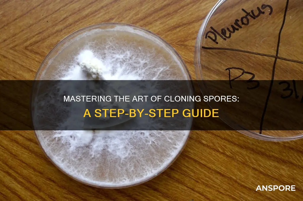 how can you clone spores