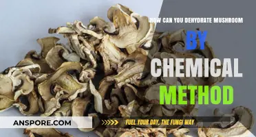 Chemical Dehydration of Mushrooms: A Comprehensive Preservation Guide