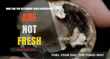 Spotting Spoiled Mushrooms: Key Signs of Staleness and Decay