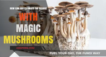 Estimating Magic Mushroom Dosage: A Beginner's Guide to Safe Tripping