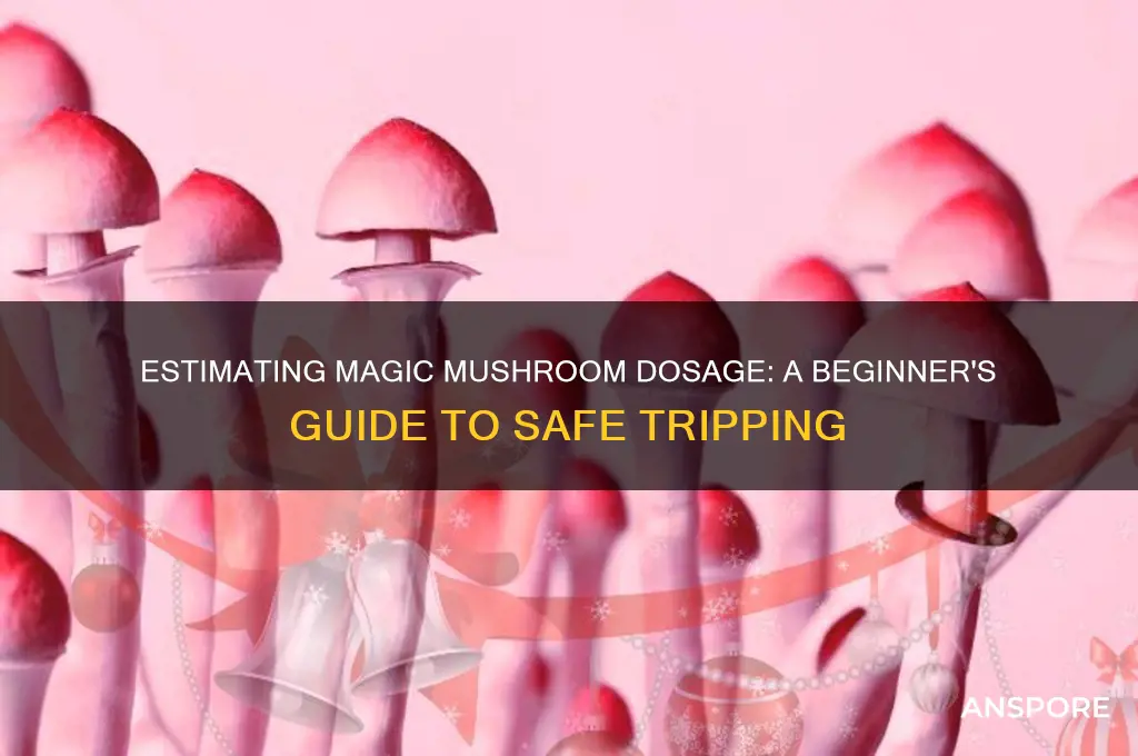 how can you estimate the dosage with magic mushrooms