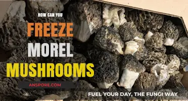 Preserving Morel Mushrooms: A Guide to Freezing Fresh Morels