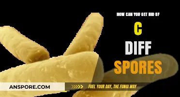 Effective Strategies to Eliminate C. Diff Spores and Prevent Infections