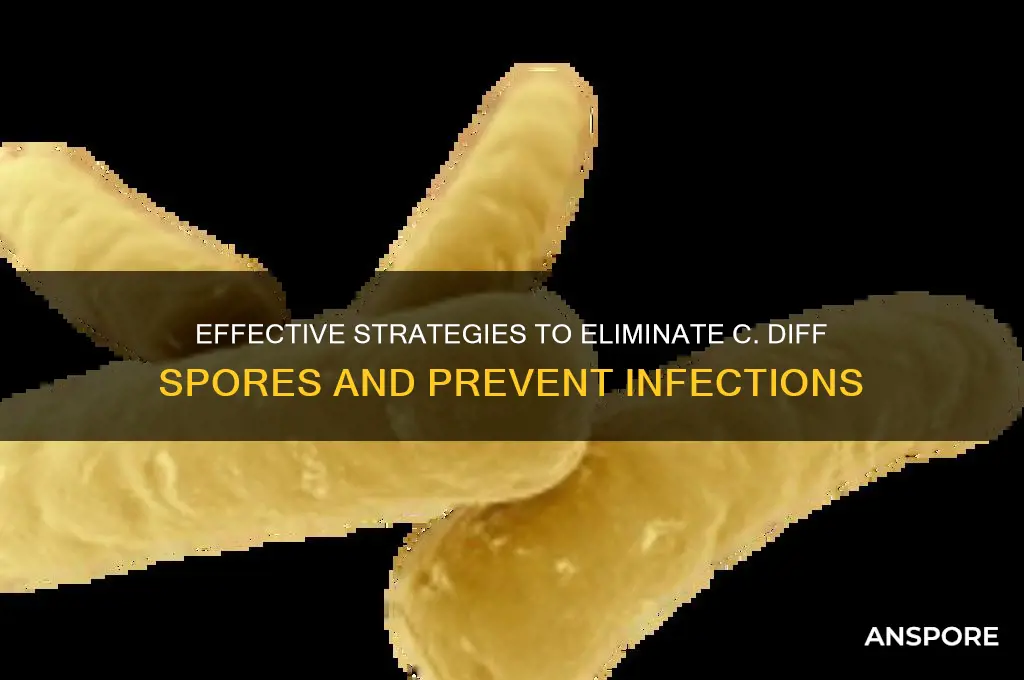how can you get rid of c diff spores