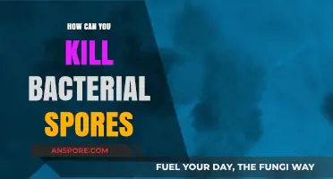 Effective Methods to Eradicate Bacterial Spores: A Comprehensive Guide