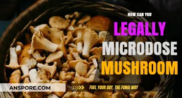 Legally Microdosing Mushrooms: A Comprehensive Guide to Safe Practices