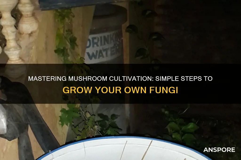 how can you make mushrooms
