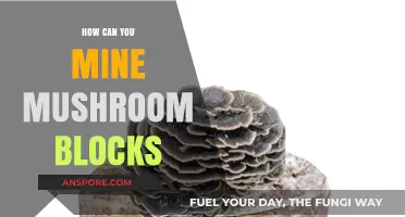 Efficient Mushroom Block Mining: Techniques and Tips for Success