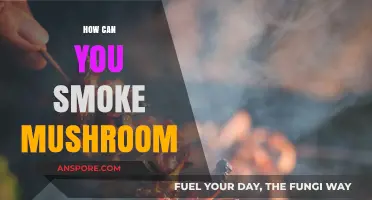 Exploring Safe Methods to Smoke Mushrooms: A Comprehensive Guide