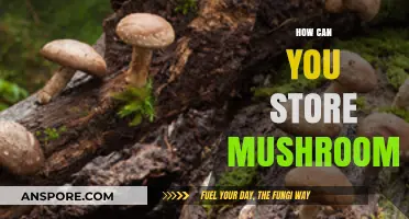 Effective Mushroom Storage Tips: Keep Your Fungi Fresh Longer