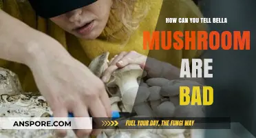 Identifying Spoiled Bella Mushrooms: Signs of Bad Texture and Smell