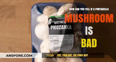 Spotting Spoiled Portabellas: Signs Your Mushroom Has Gone Bad