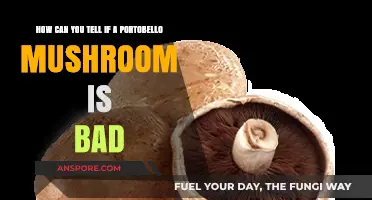 Spotting Spoiled Portobellos: Signs Your Mushroom Has Gone Bad