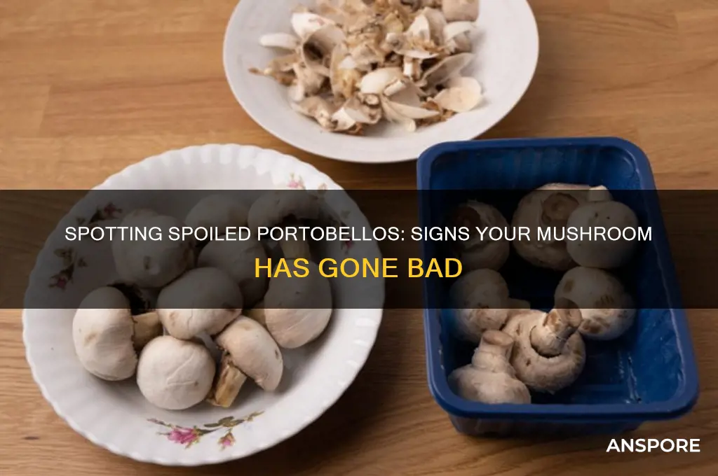 how can you tell if a portobello mushroom is bad