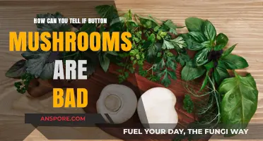 Identifying Spoiled Button Mushrooms: Signs of Bad Texture and Smell