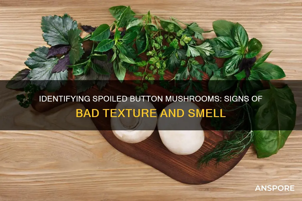 how can you tell if button mushrooms are bad