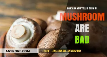 Spotting Spoiled Crimini Mushrooms: Signs of Badness and Freshness Tips
